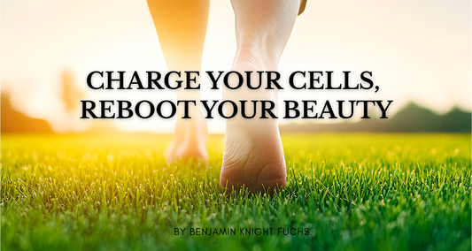 The Bioelectric Foundation of Skin Function for Professional Practice.